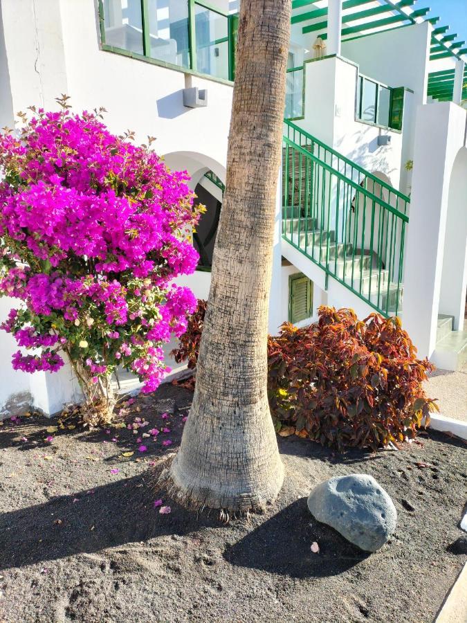 Casa De Guacimeta Lejlighed Puerto del Carmen  Eksteriør billede